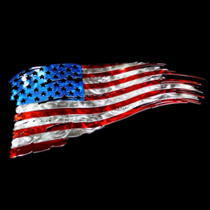 Tattered U.S. Flag from West Texas Plasma